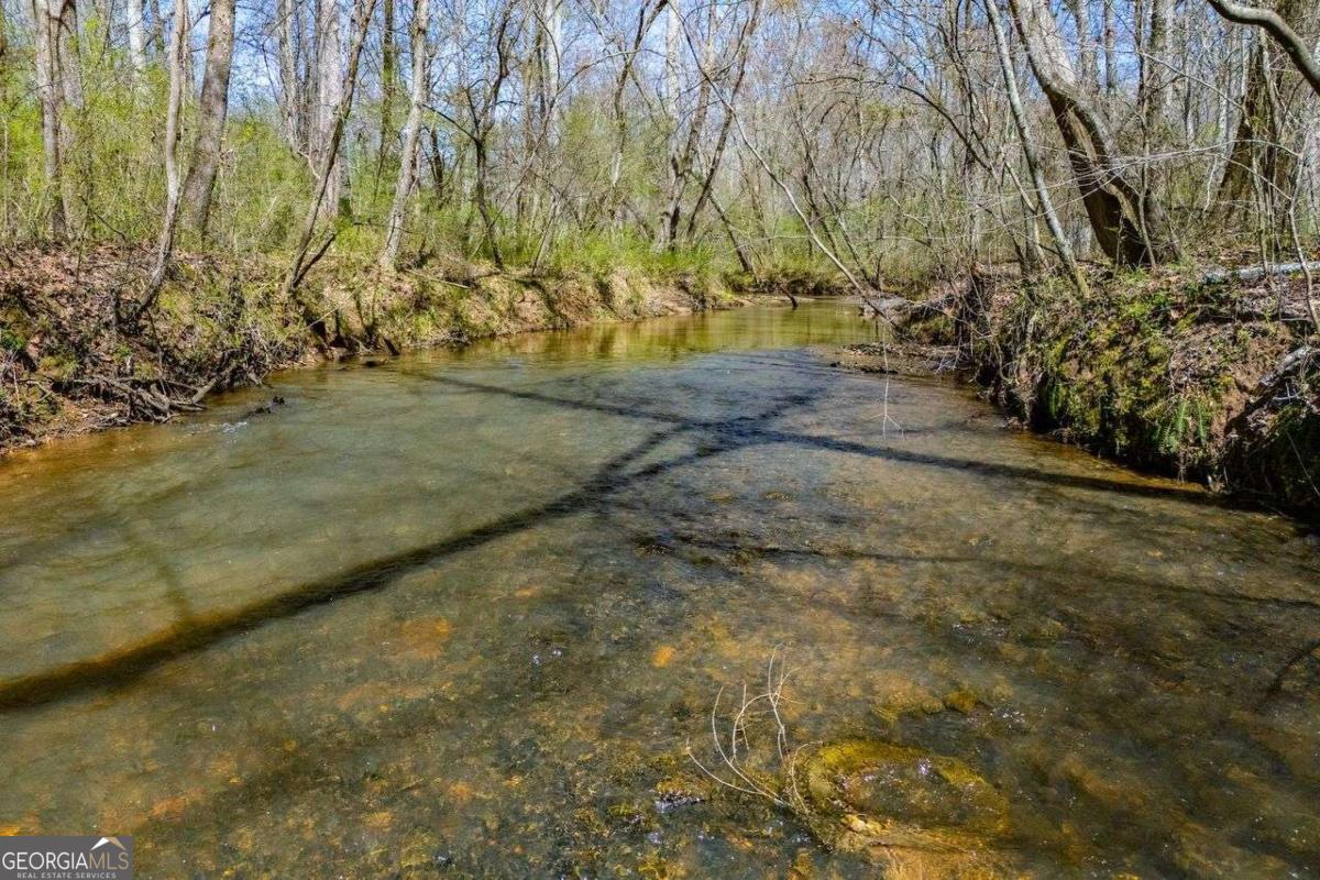 353 South Prospect Avenue Waco, GA 30182 - Photo 7 of 20 a view of yard