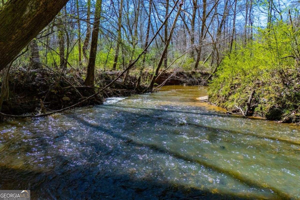 353 South Prospect Avenue Waco, GA 30182 - Photo 8 of 20 a view of yard from outdoor space