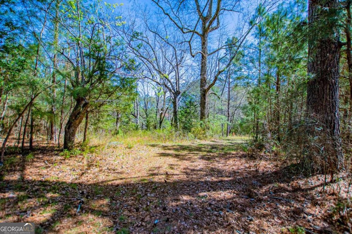 353 South Prospect Avenue Waco, GA 30182 - Photo 9 of 20 a backyard of a house with lots of green space