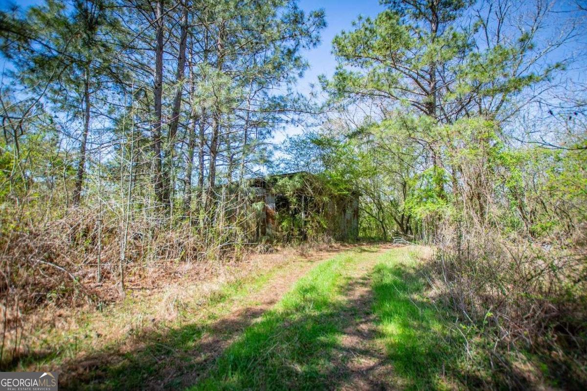 353 South Prospect Avenue Waco, GA 30182 - Photo 10 of 20 a view of a yard with a tree