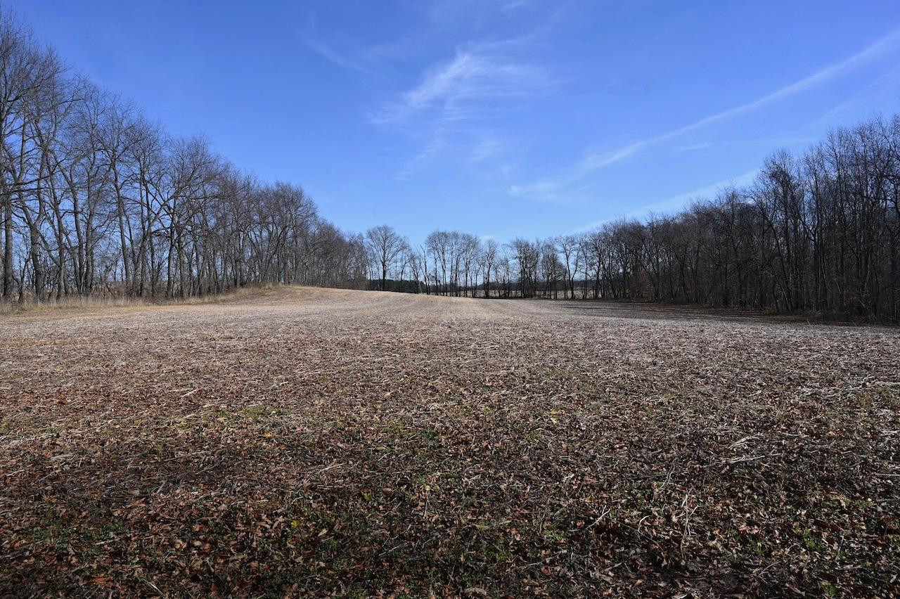 55824 County Line Road New Carlisle, IN 46552 - Photo 2 of 7 1280x852