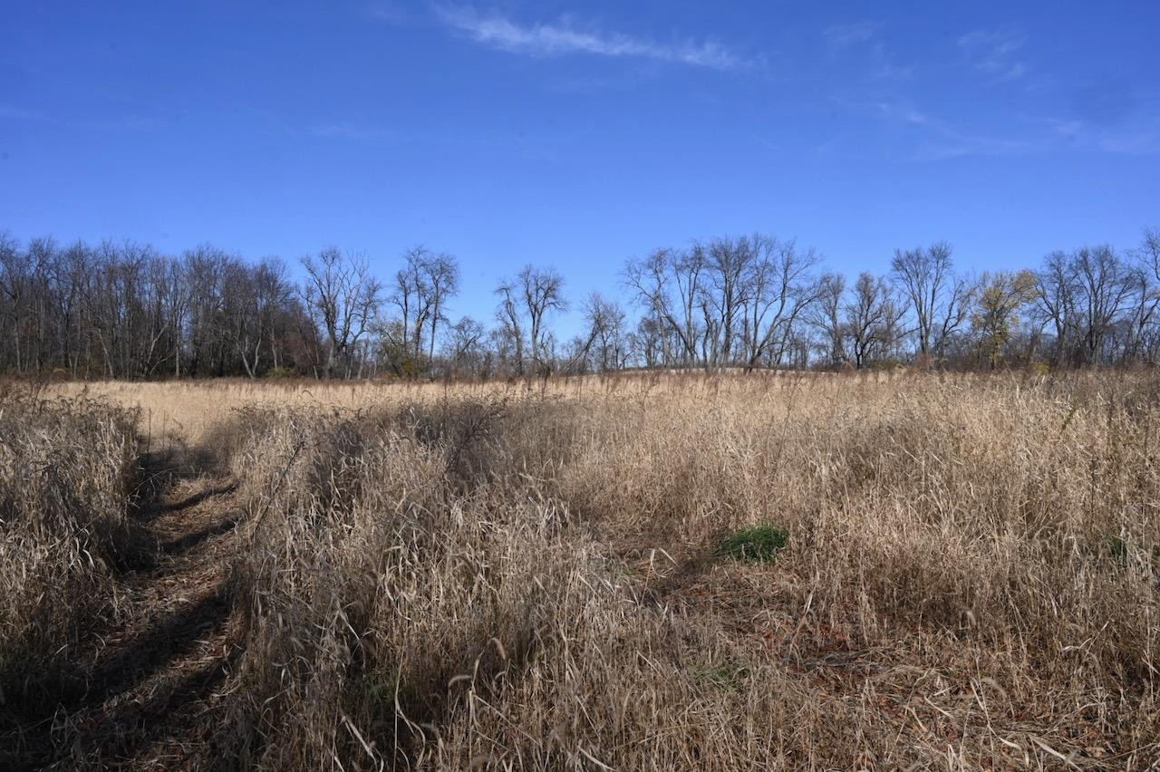 55824 County Line Road New Carlisle, IN 46552 - Photo 5 of 7 1280x852