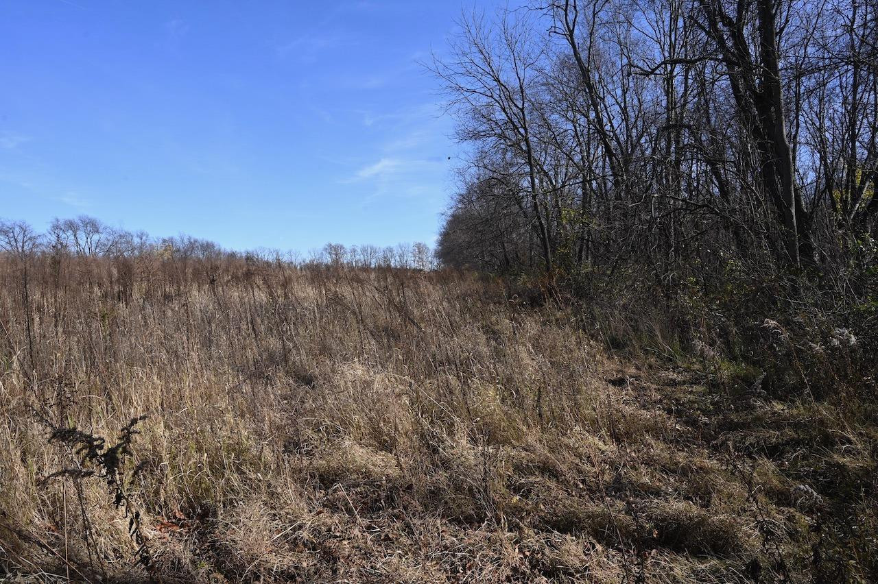 55824 County Line Road New Carlisle, IN 46552 - Photo 6 of 7 1280x852