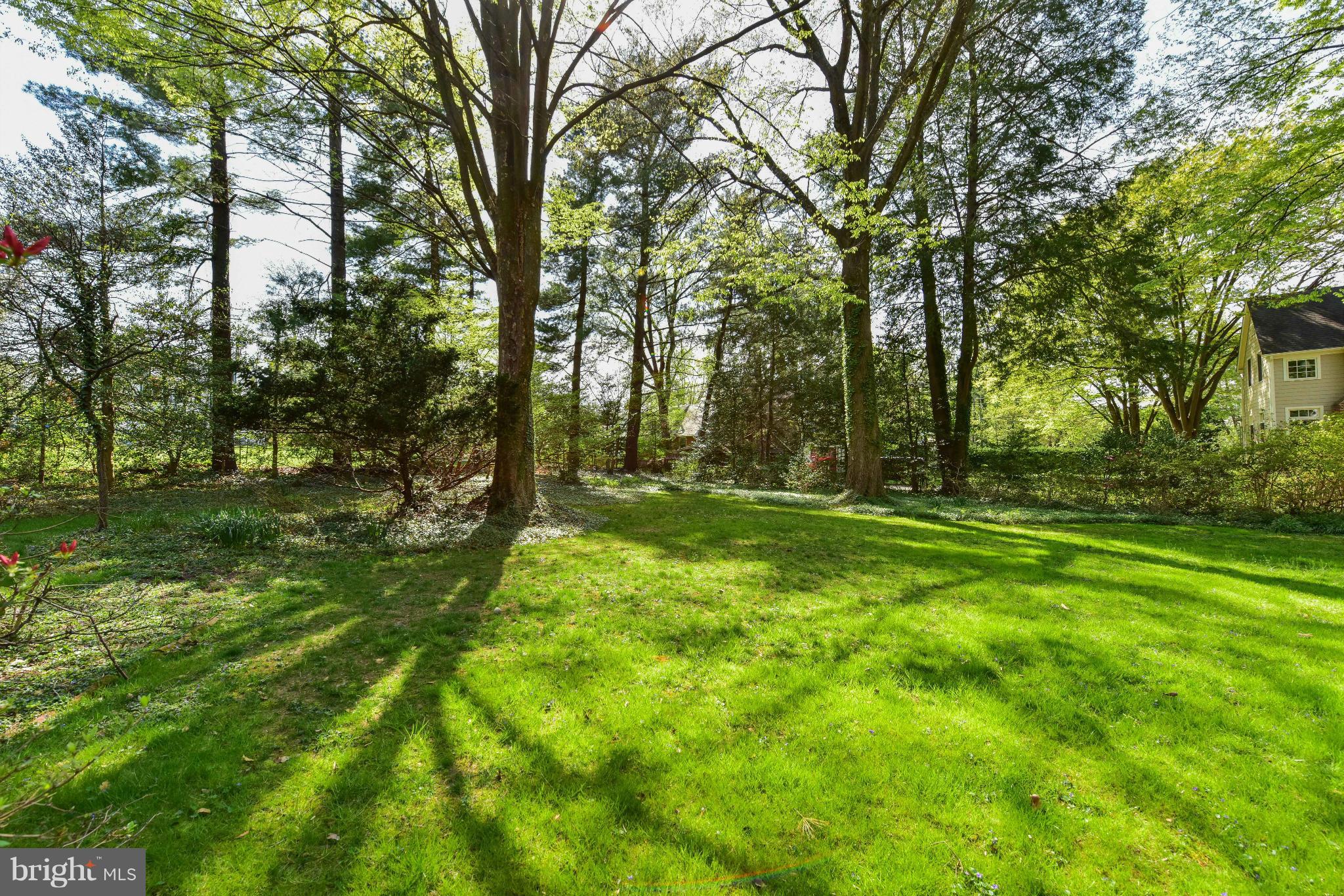 4108 Dresden Street Kensington, MD 20895 - Photo 24 of 24 a view of outdoor space with deck and trees