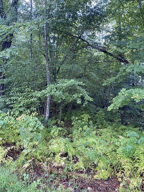 0 Greenwich Road Hardwick, MA 01037 - Photo 2 of 9 Gallery Image 2