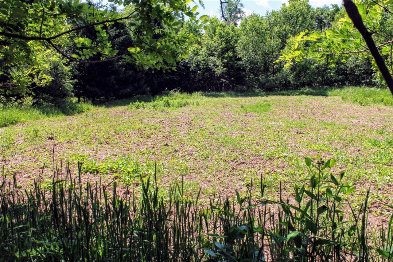 18218 27 Mile Road Springport, MI 49284 - Photo 56 of 64