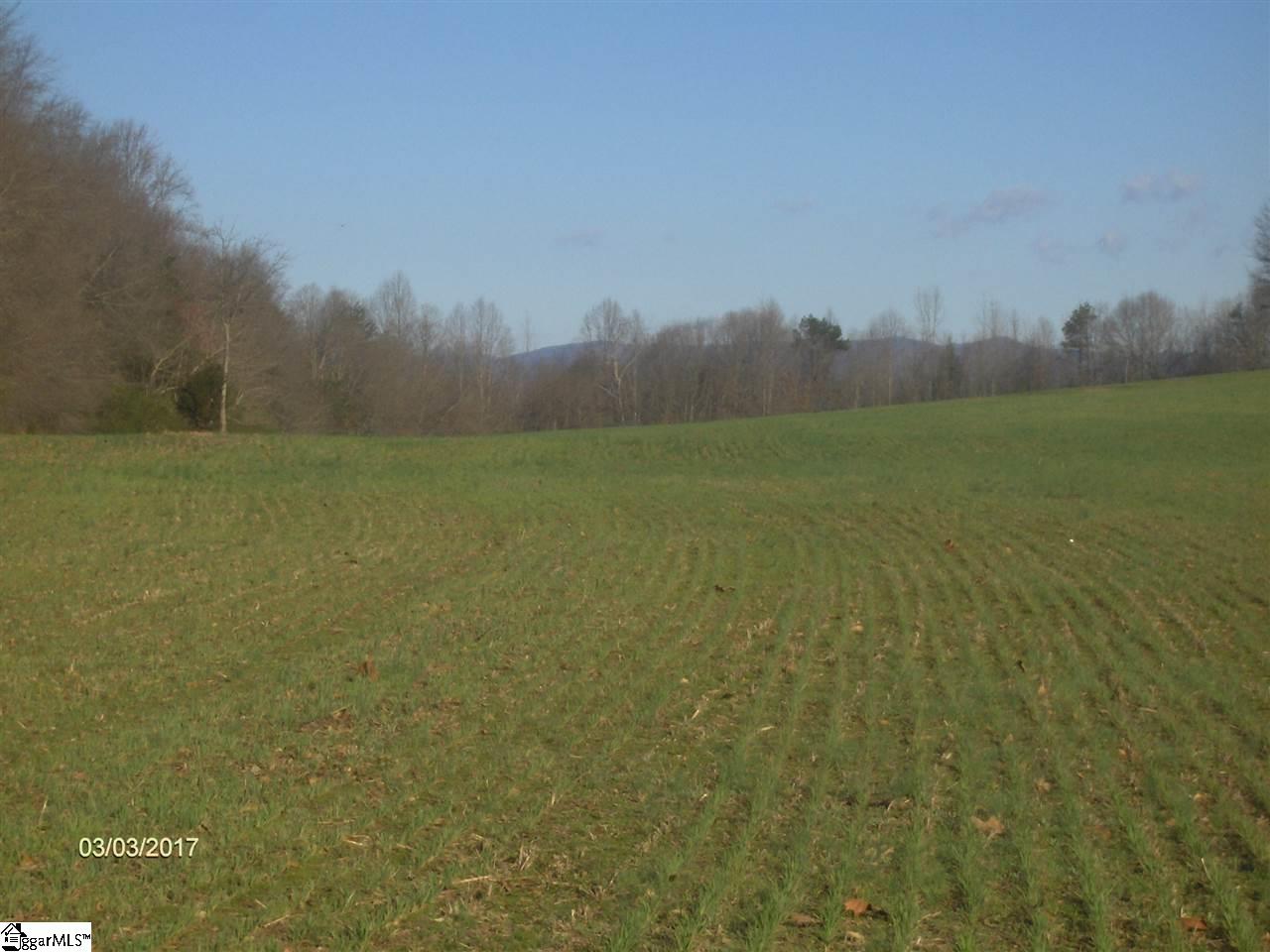 2615 Earls Bridge Road Easley, SC 29640 - Photo 2 of 4 Gallery Image 2