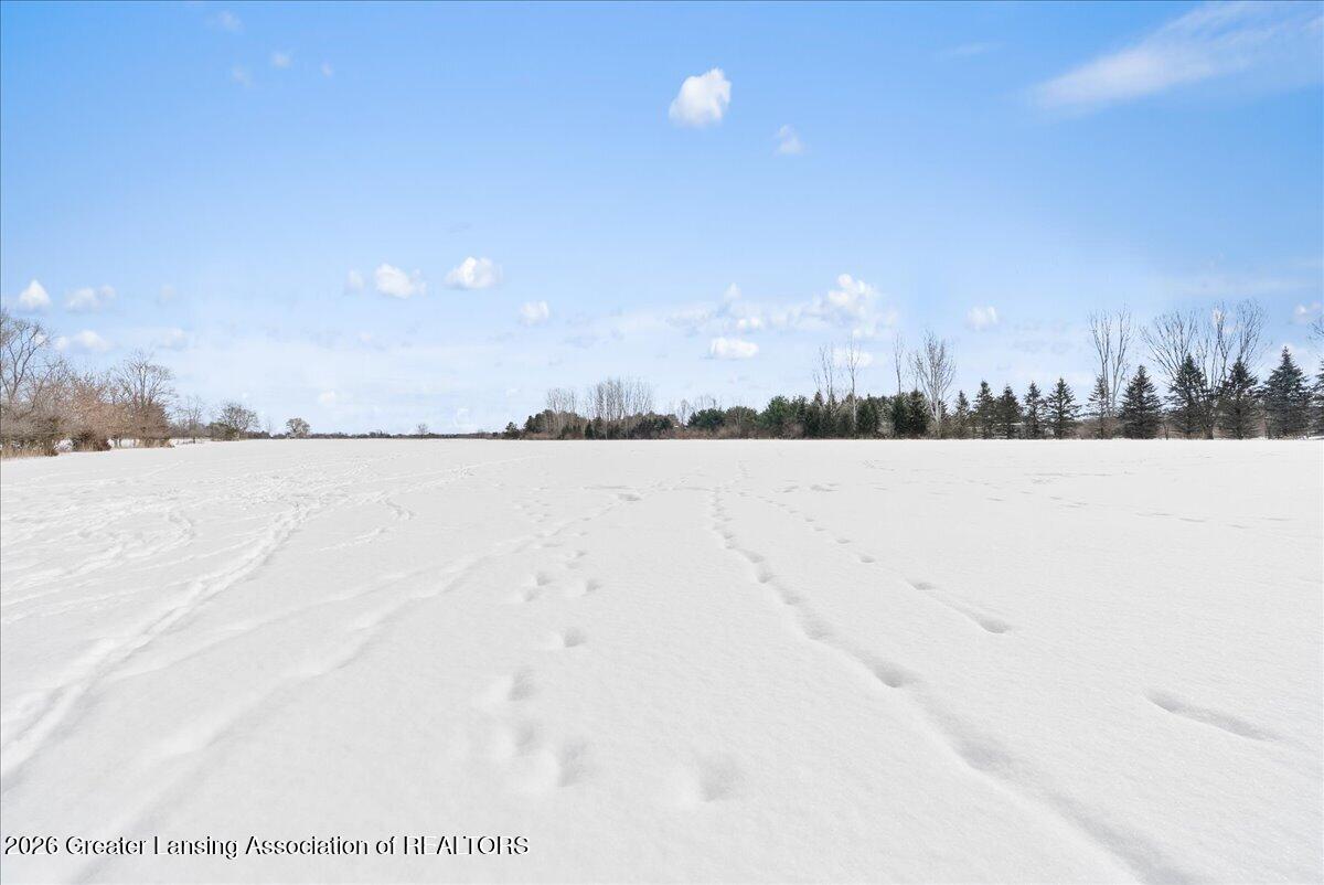 6822 North Maple River Road Elsie, MI 48831 - Photo 29 of 36 39-Media Jett - 34