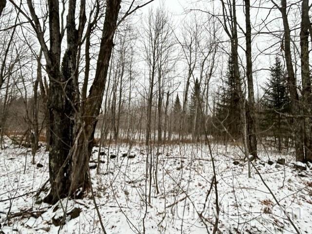 Tbd4 Larson Road Atlantic Mine, MI 49905 - Photo 14 of 41 Gallery Image 14