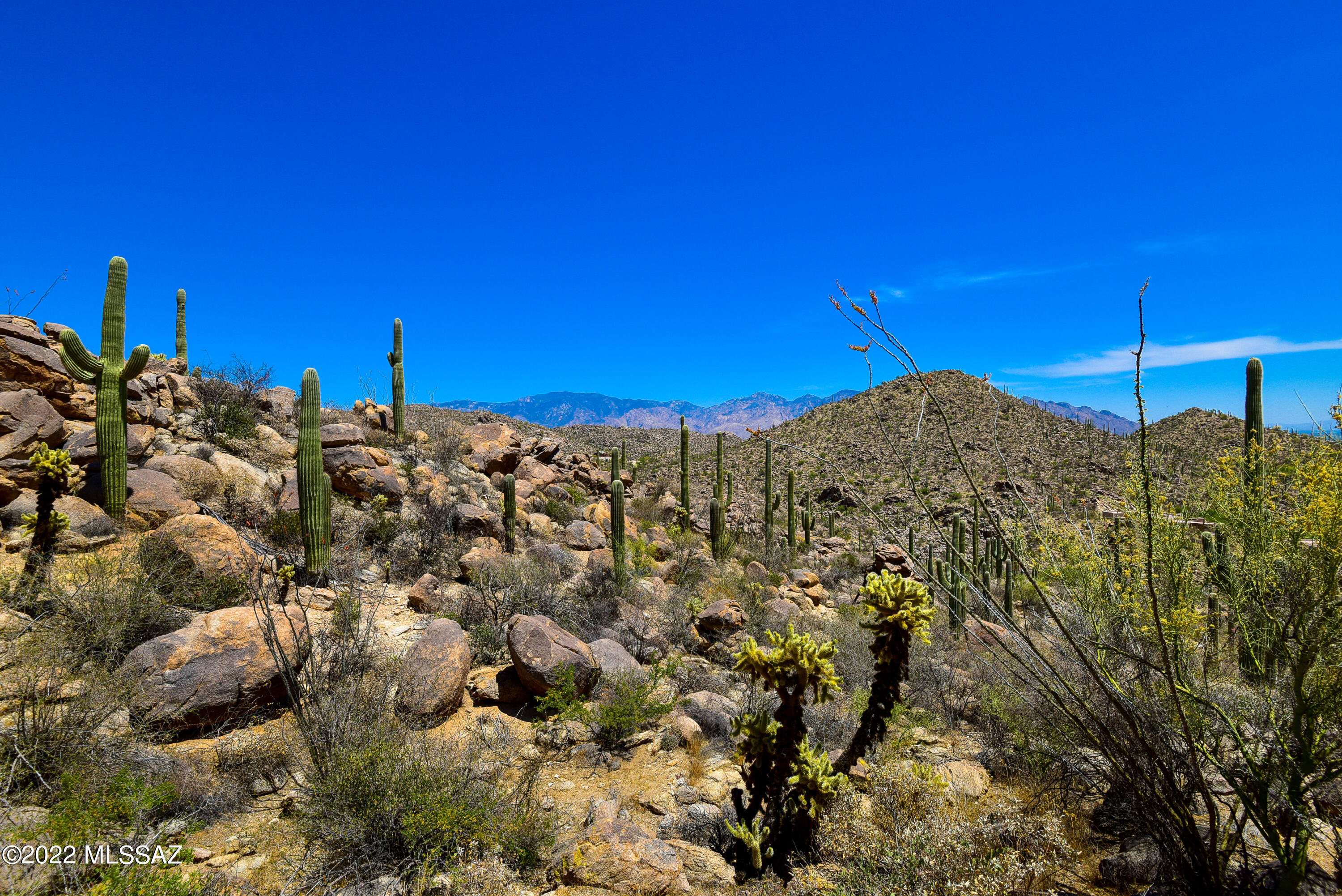 14168 North Old Ranch House Road, Unit LOT 40 Marana, AZ 85658 - Photo 15 of 15