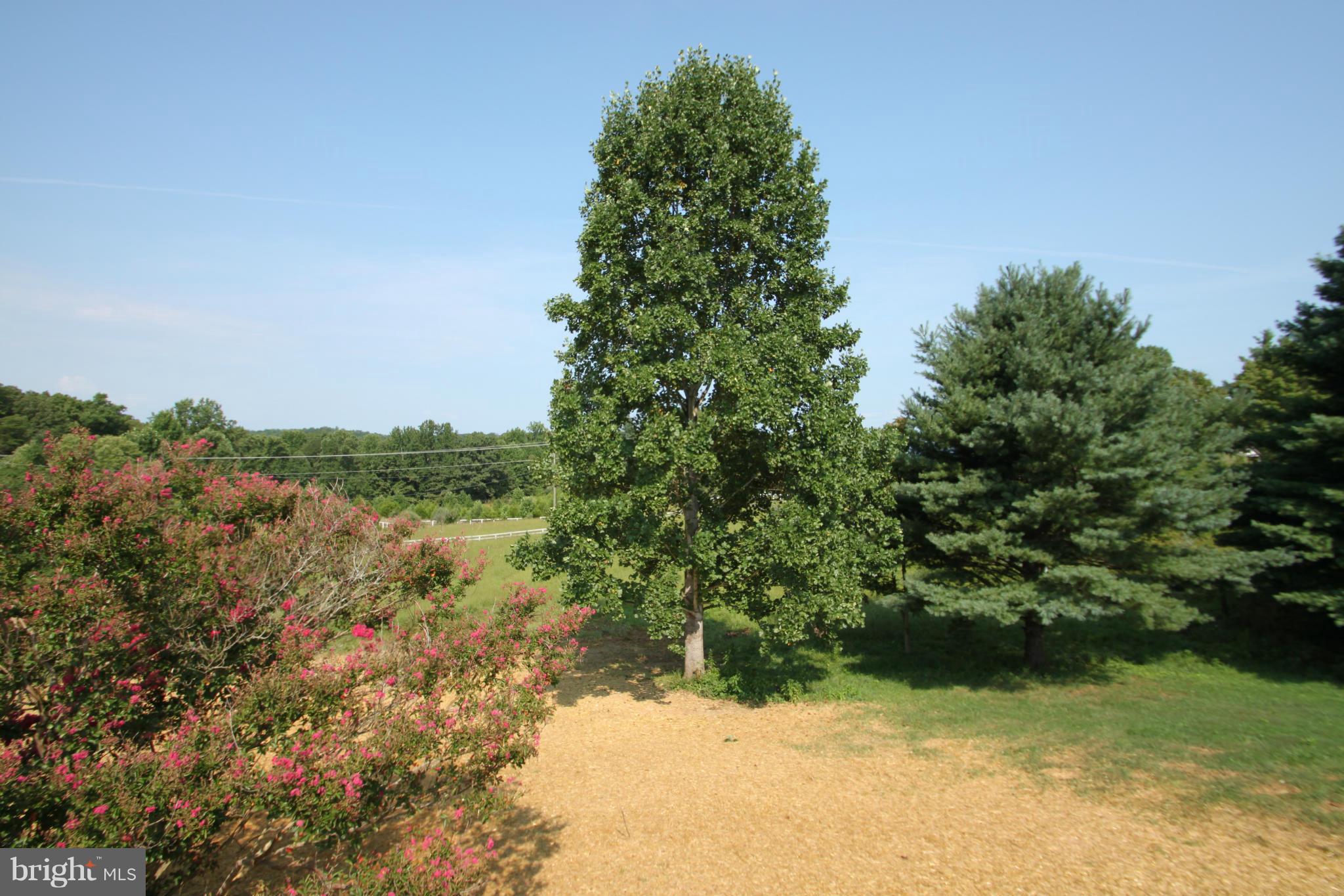 61 Richmond Road Castleton, VA 22716 - Photo 17 of 19 View