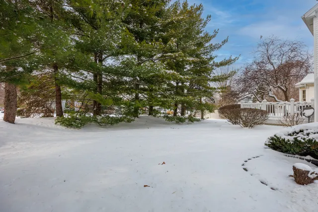 a view of a house with a tree