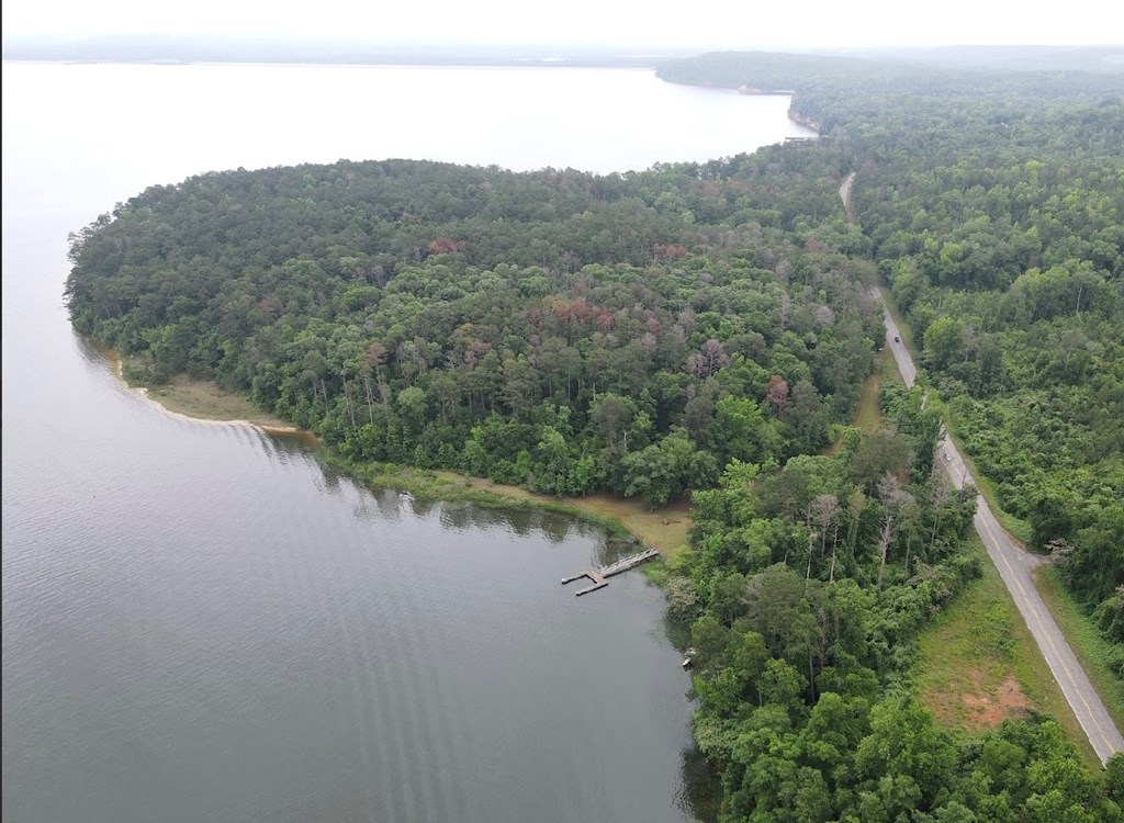 97 County Road 97 Abbeville, AL 36310 - Photo 5 of 15