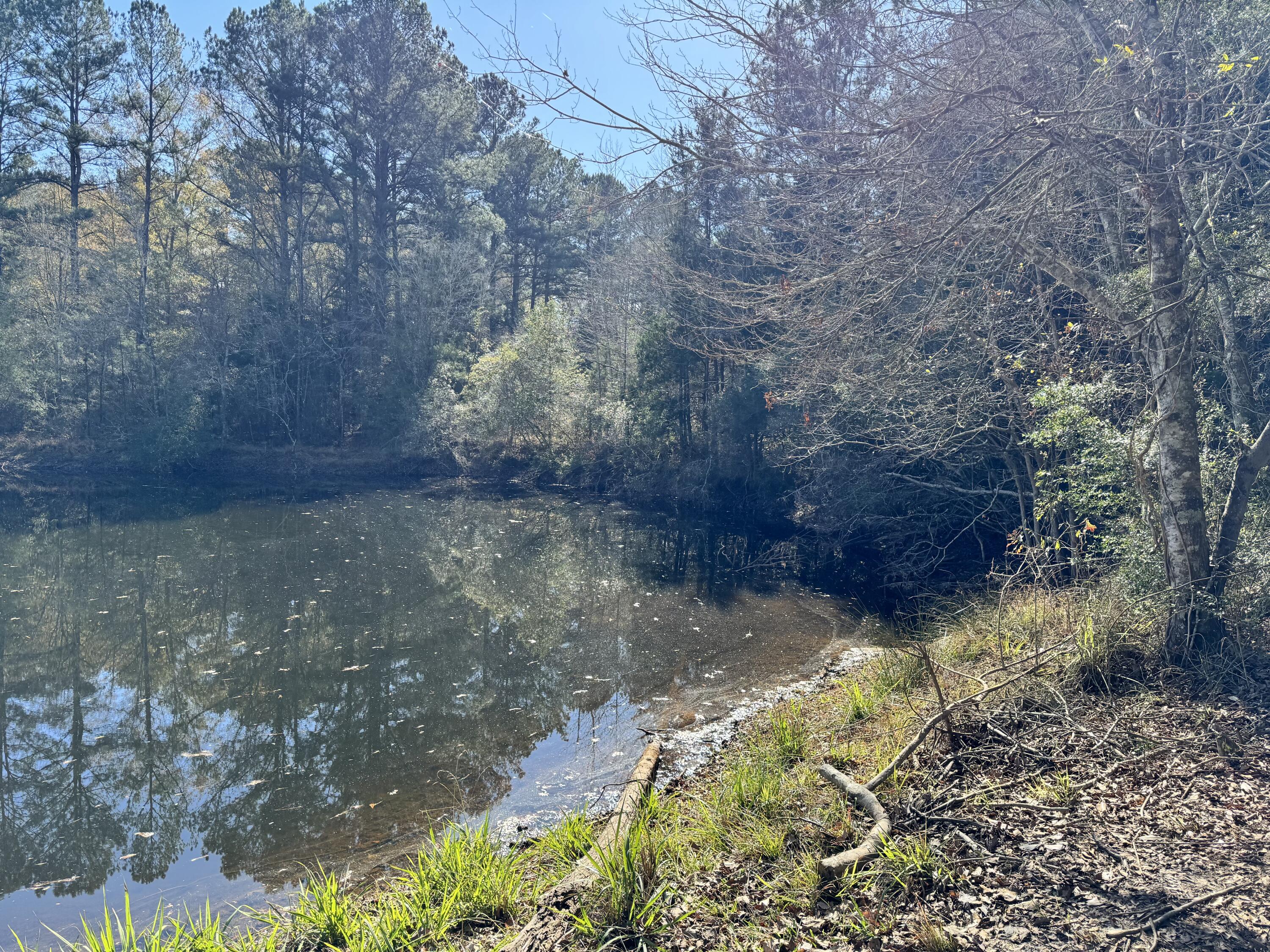 0 Gibson Street Elba, AL 36323 - Photo 2 of 7 IMG_0103