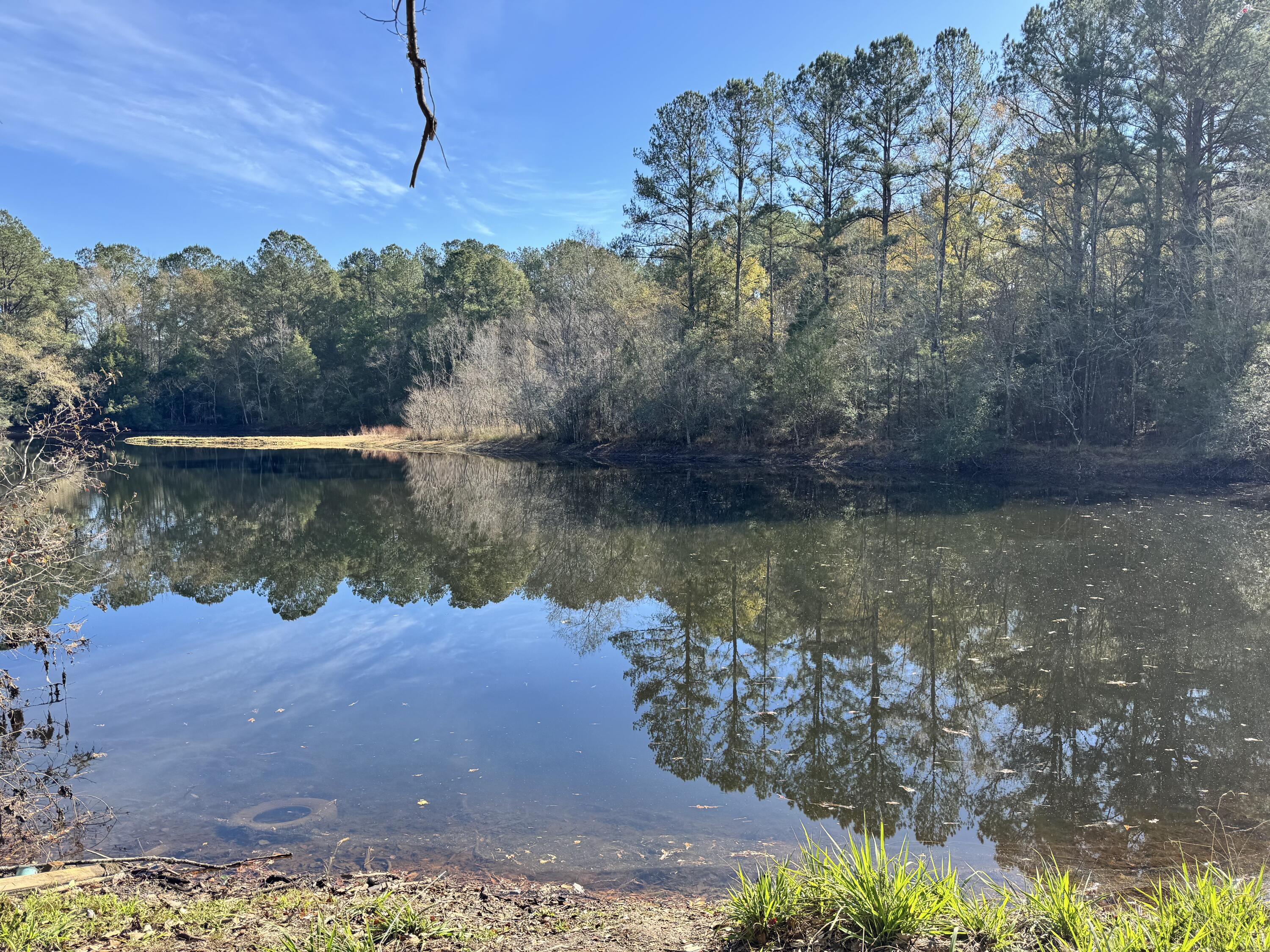 0 Gibson Street Elba, AL 36323 - Photo 3 of 7 IMG_0104