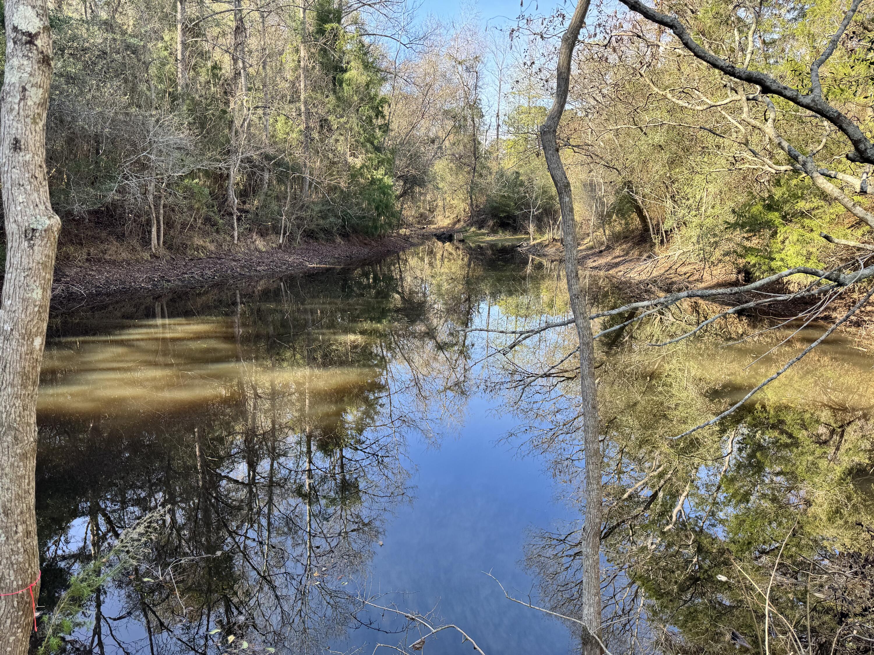 0 Gibson Street Elba, AL 36323 - Photo 4 of 7 IMG_0105