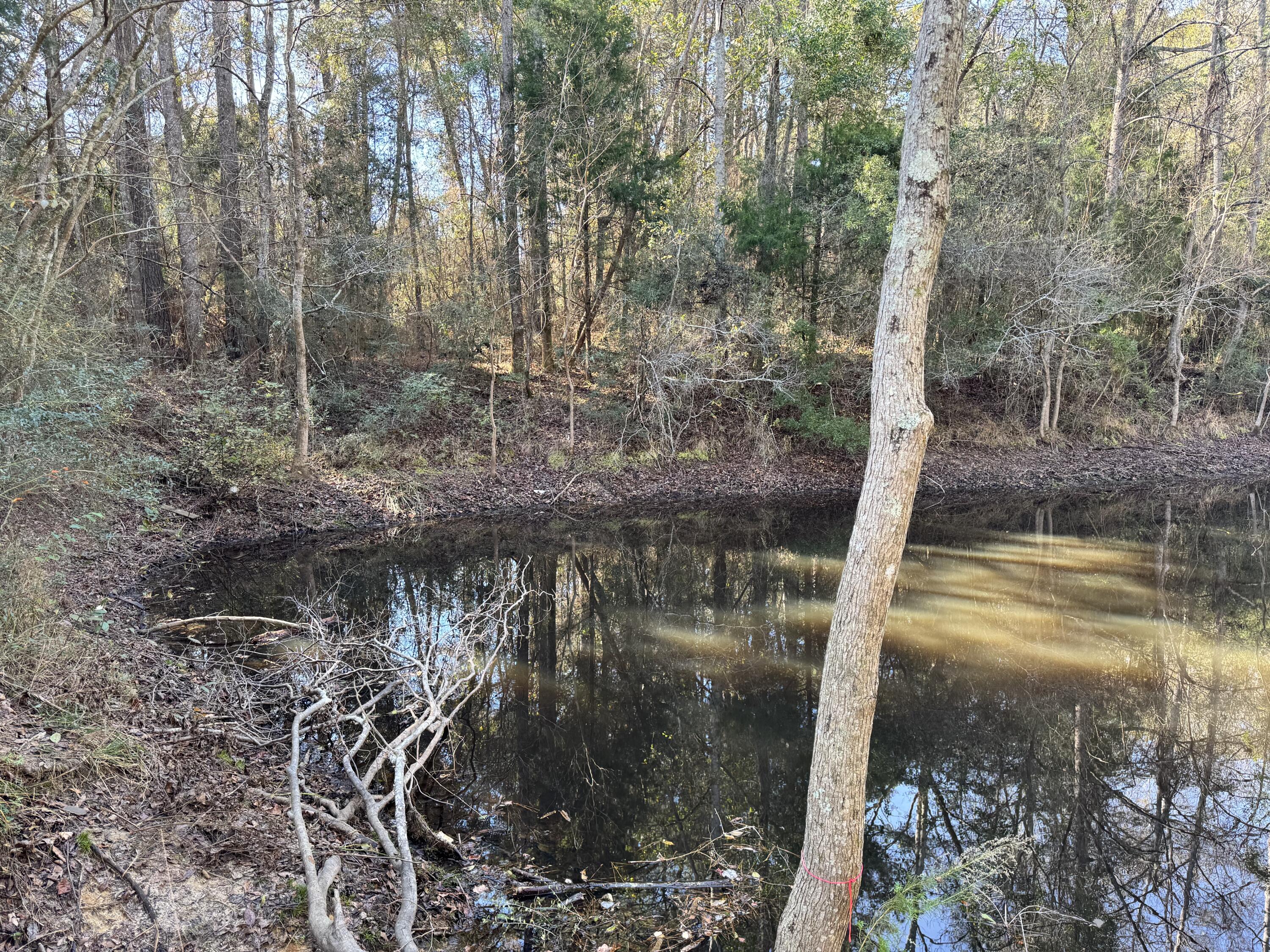 0 Gibson Street Elba, AL 36323 - Photo 5 of 7 IMG_0106