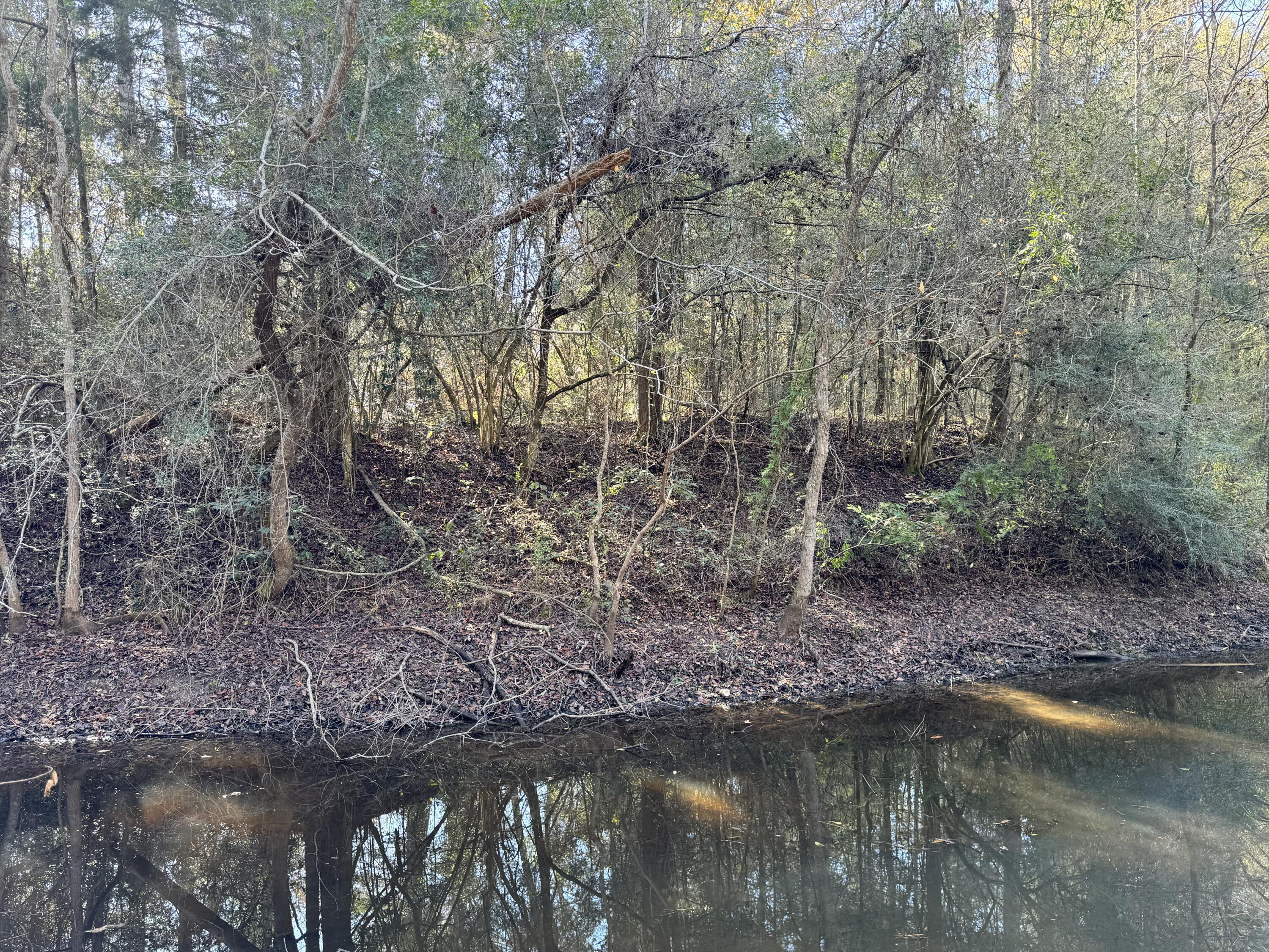 0 Gibson Street Elba, AL 36323 - Photo 7 of 7 IMG_0109