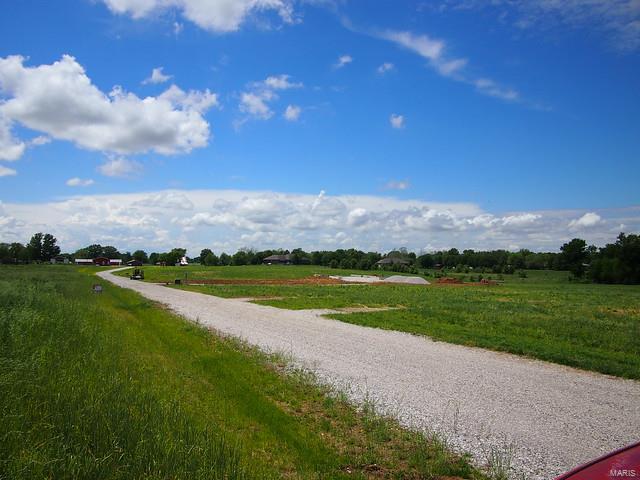 0 Old Carpenter Road Edwardsville, IL 62025 - Photo 8 of 11