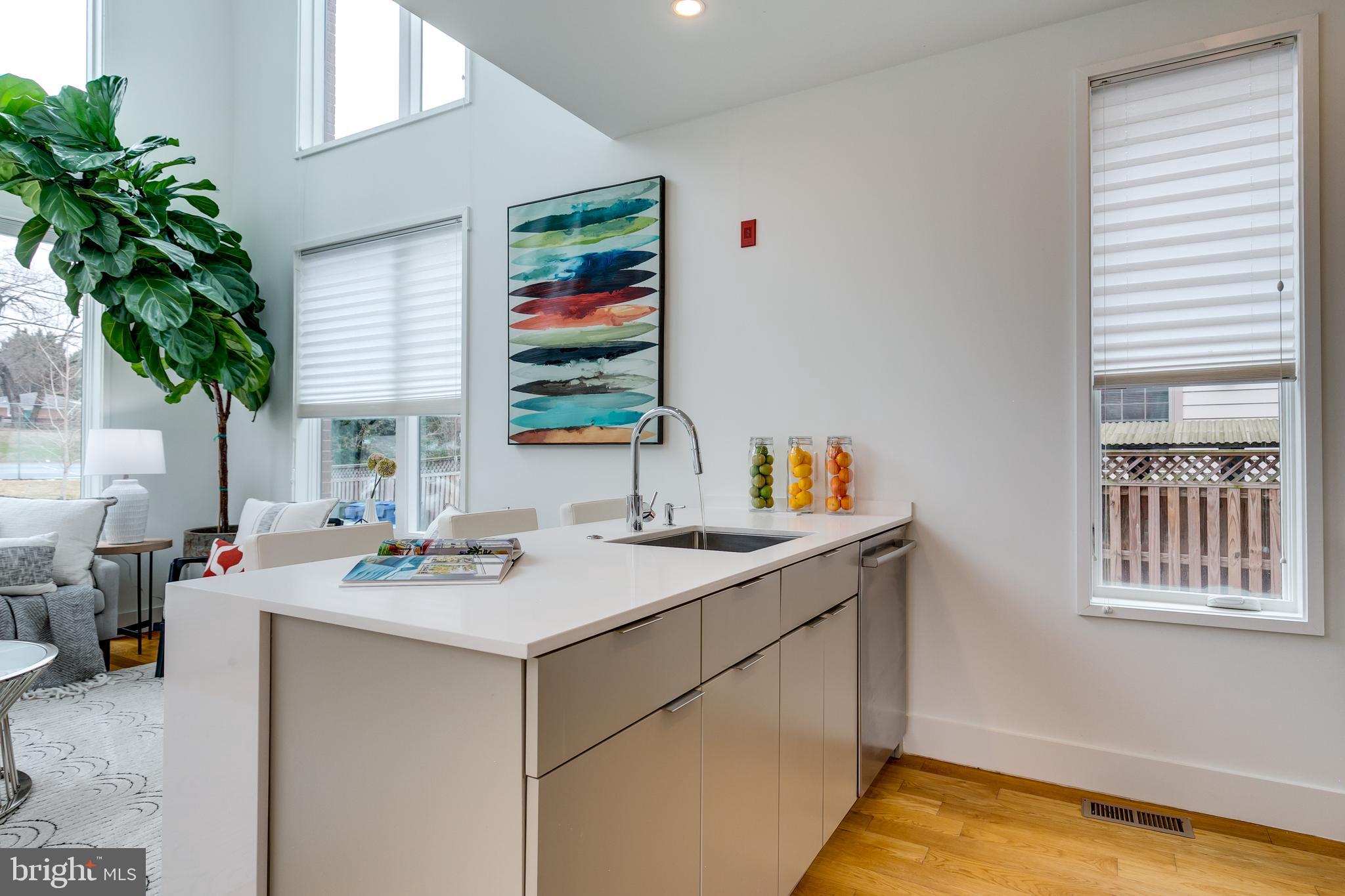 4529 MacArthur Boulevard Northwest, Unit 3 Washington, DC 20007 - Photo 33 of 50 a view of kitchen island with sink and living room