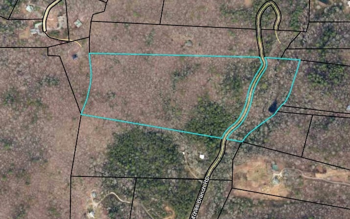 10 Mitchell Branch Road Morganton, GA 30560 - Photo 1 of 1 Main View