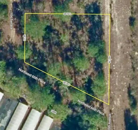 a view of a forest from a balcony