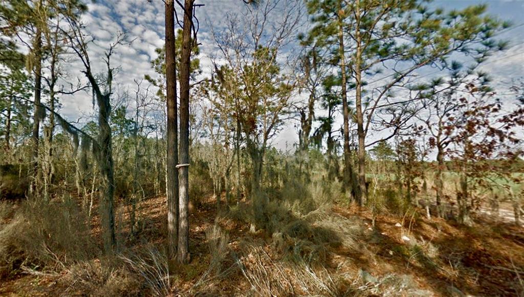 0 66th Place Northeast Bronson, FL 32621 - Photo 5 of 12