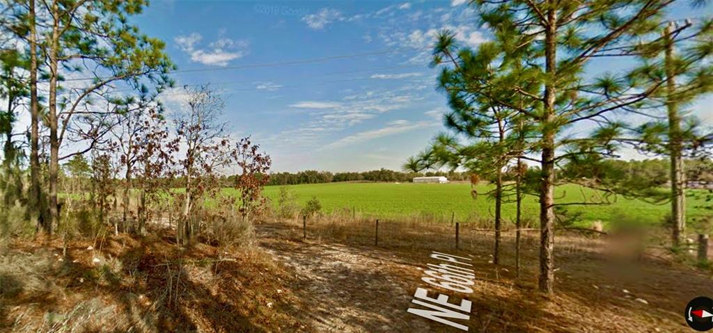 0 66th Place Northeast Bronson, FL 32621 - Photo 6 of 12