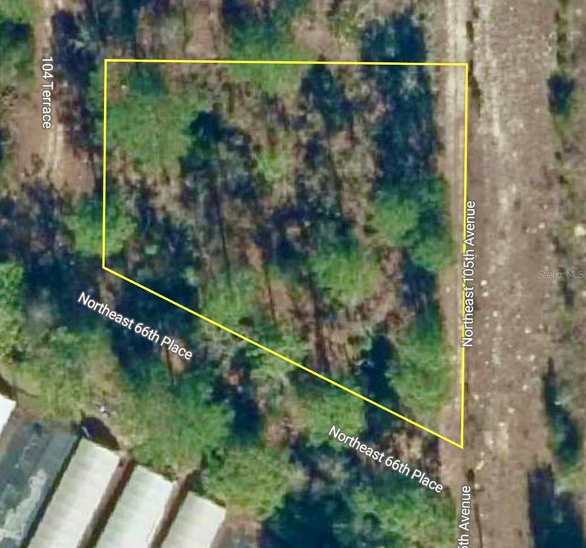 0 66th Place Northeast Bronson, FL 32621 - Photo 8 of 12 a view of a forest