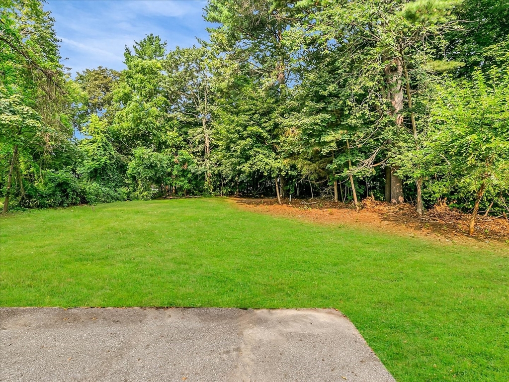 186 Main Street Wayland, MA 01778 - Photo 5 of 29