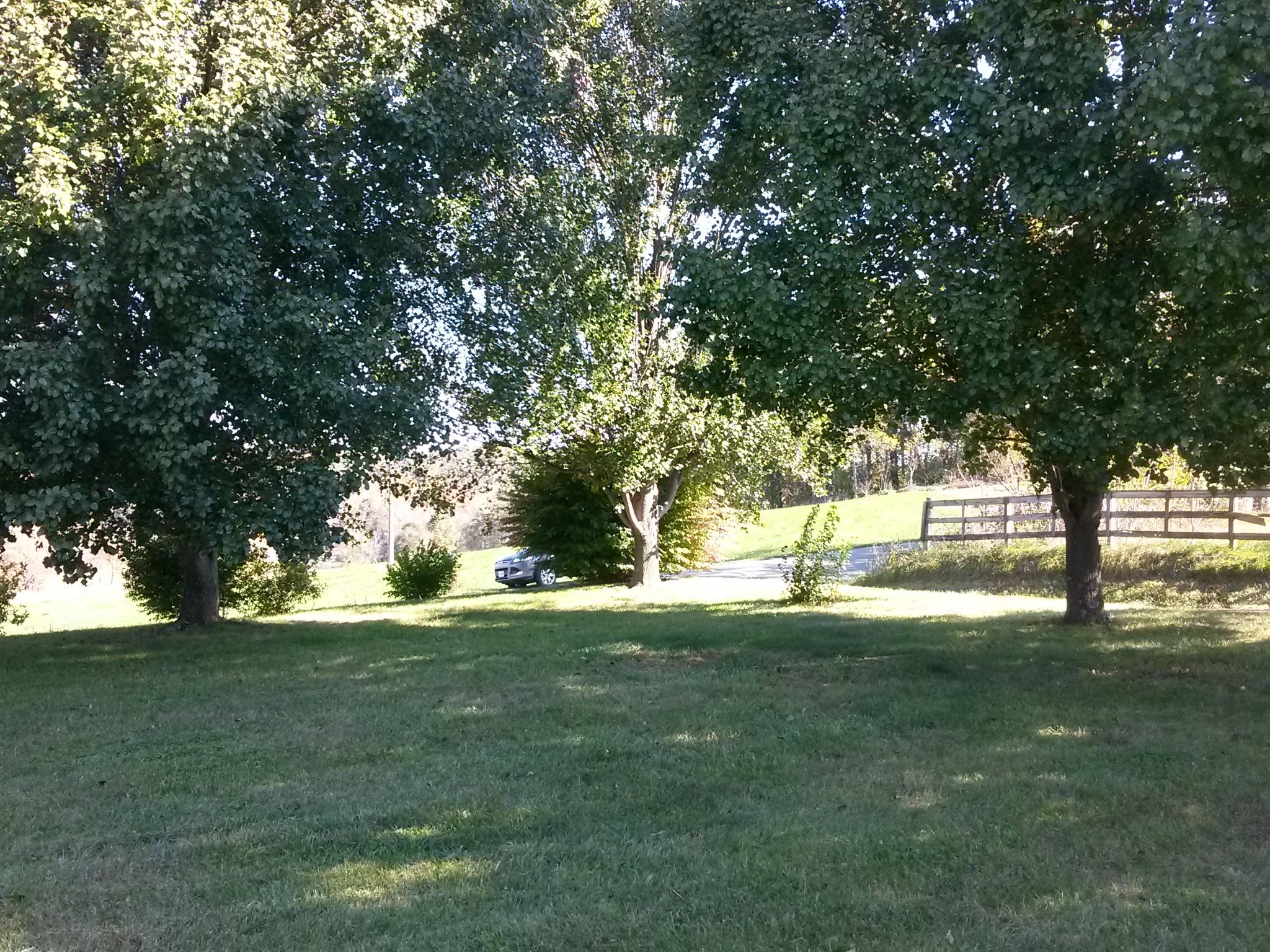1020 Muse Field Road Rocky Mount, VA 24151 - Photo 16 of 43 a view of yard with trees