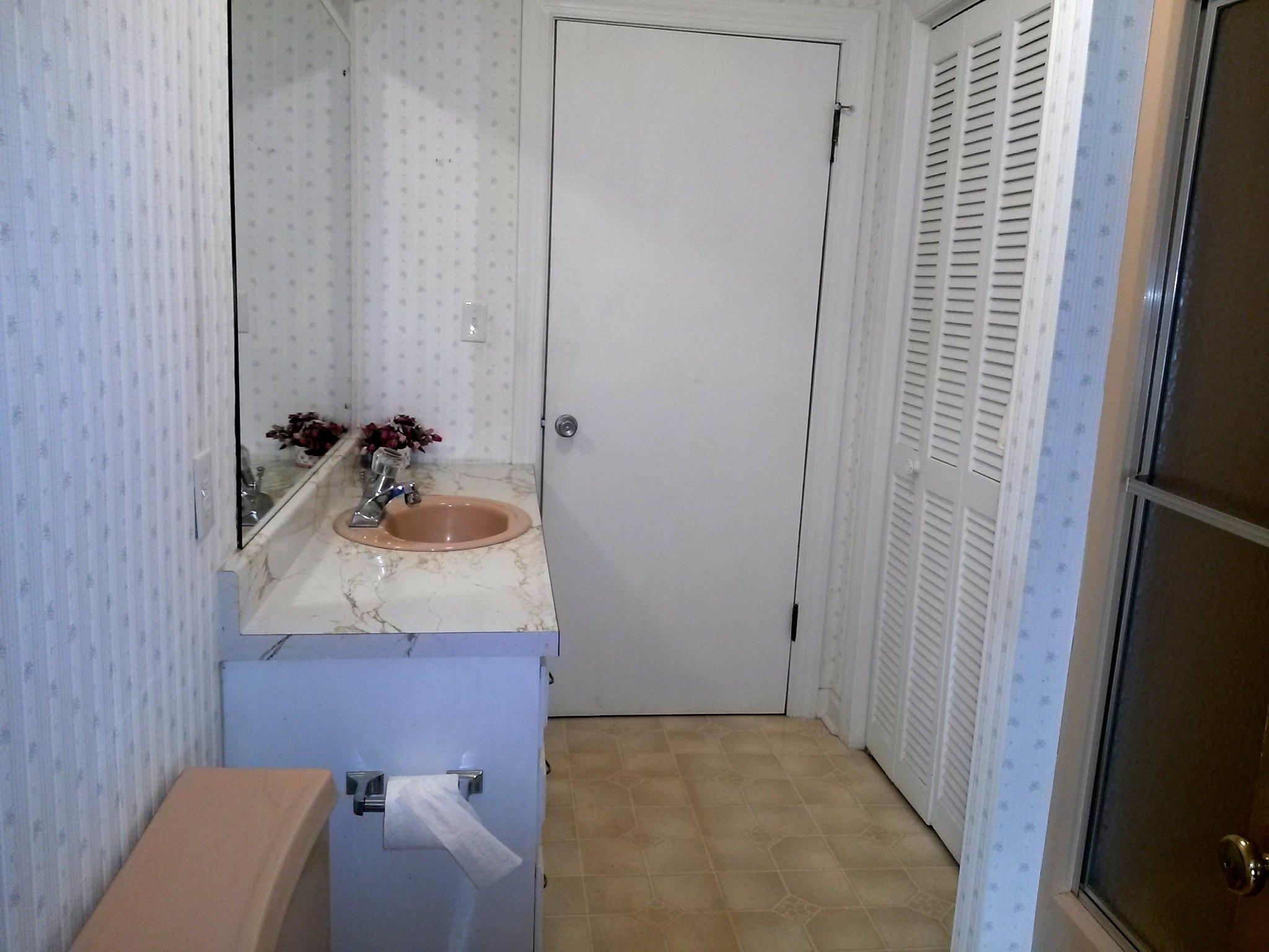 1020 Muse Field Road Rocky Mount, VA 24151 - Photo 36 of 43 a bathroom with a sink and mirror