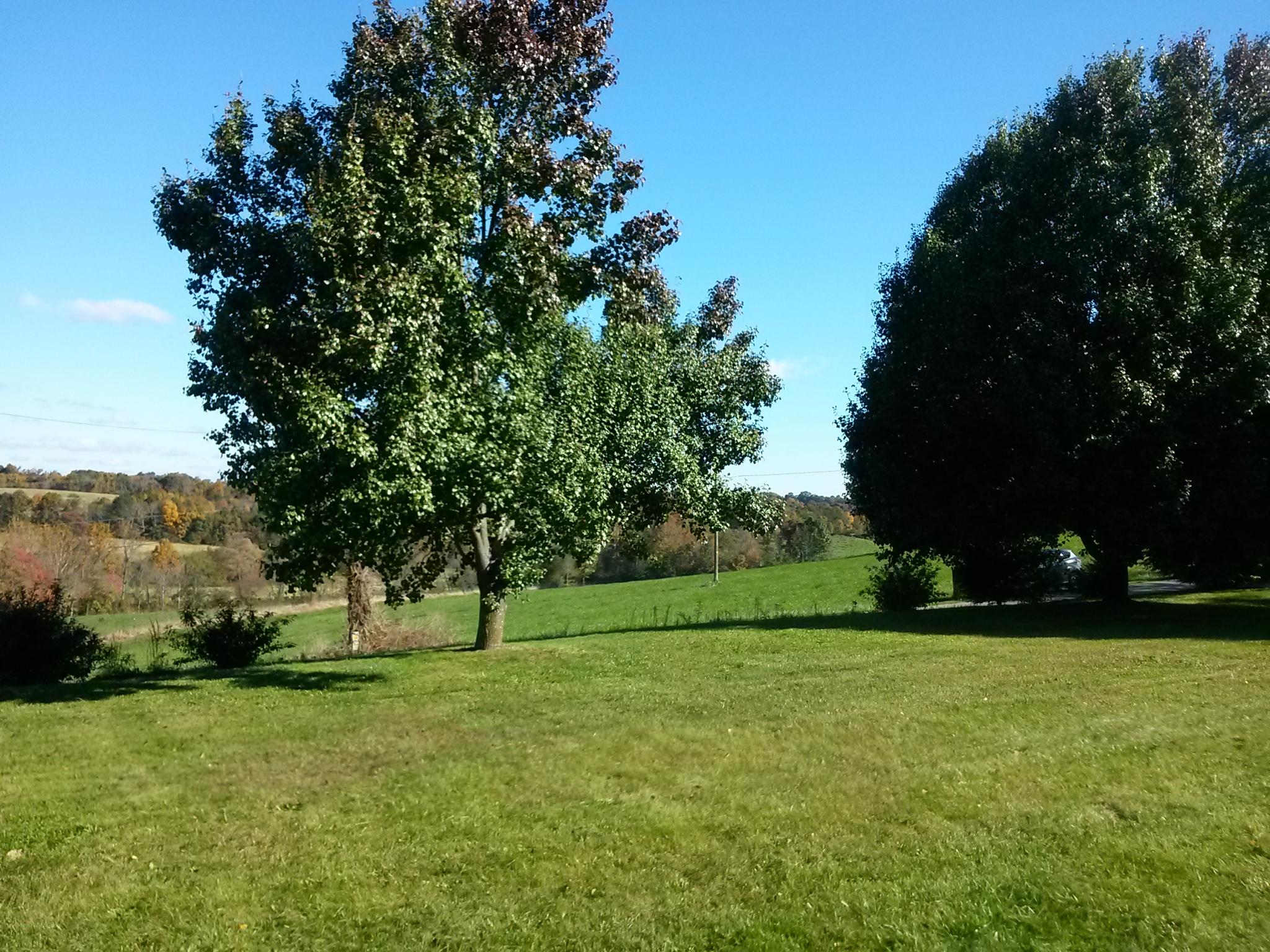 1020 Muse Field Road Rocky Mount, VA 24151 - Photo 6 of 43 a view of field with grass and trees