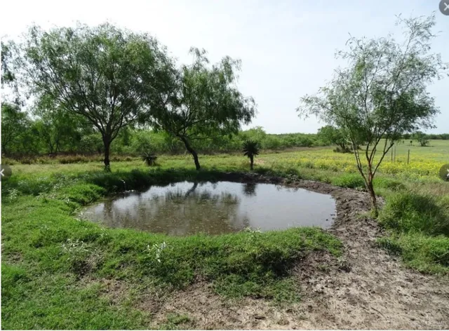 a view of a water pond with green yard