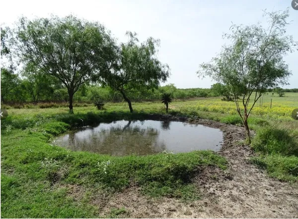 $1,402,000 | 2294 Fm 2294, Santa Elena, TX 78591