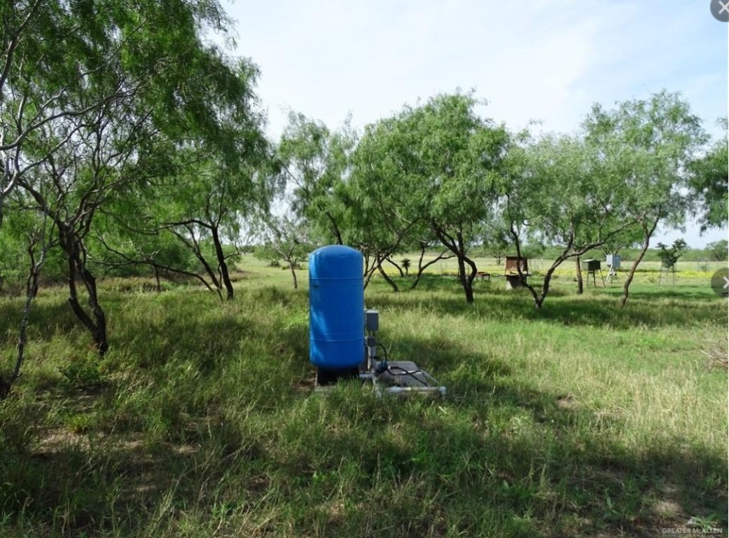 2294 Fm 2294 Santa Elena, TX 78591 - Photo 2 of 10 a view of a garden with plants