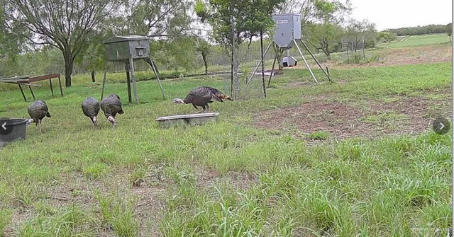 a view of a park with of houses
