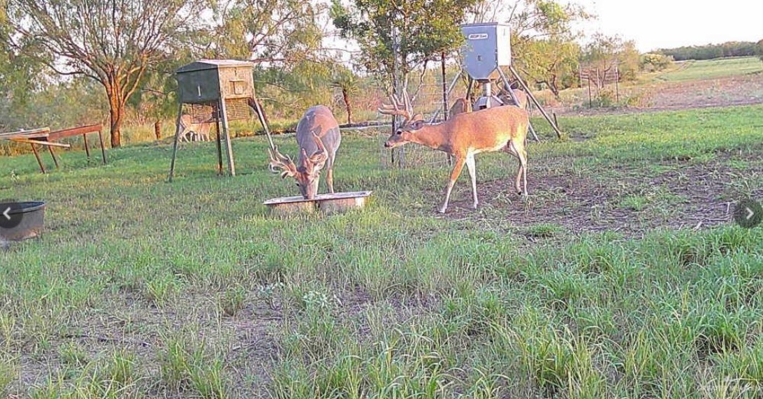 2294 Fm 2294 Santa Elena, TX 78591 - Photo 7 of 10 a view of a park
