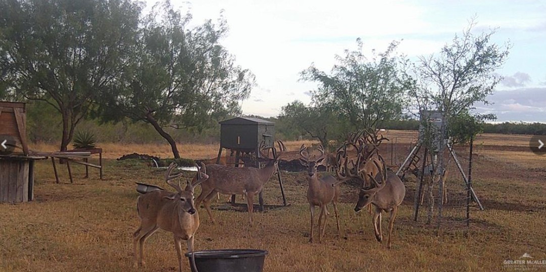 2294 Fm 2294 Santa Elena, TX 78591 - Photo 8 of 10