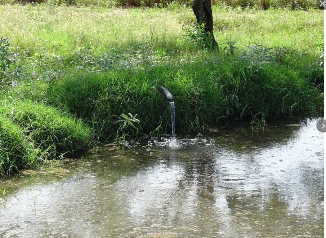 2294 Fm 2294 Santa Elena, TX 78591 - Photo 10 of 10 a view of a yard with plants and large trees