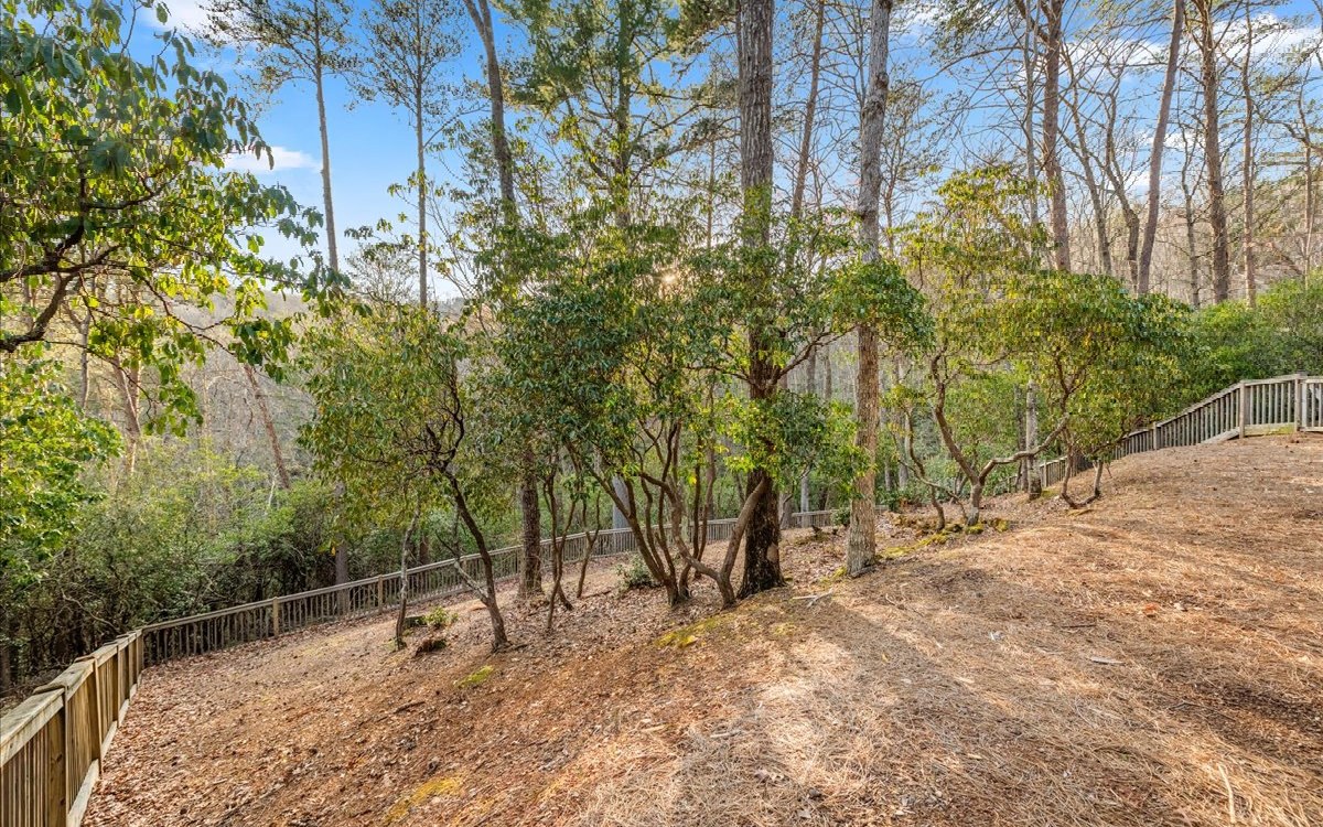 435 Birdseye View Blue Ridge, GA 30513 - Photo 55 of 70 Additional View