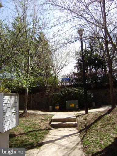 6011 Riddle Walk Alexandria, VA 22312 - Photo 17 of 25 Lots of trees lead to this lovely home!
