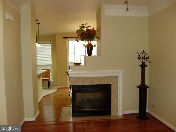 6011 Riddle Walk Alexandria, VA 22312 - Photo 25 of 25 Great open floor plan lets light in!