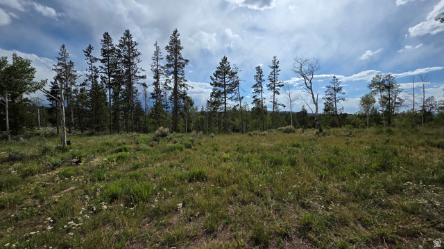 5828 Pineview Road, Unit 922 Kamas, UT 84036 - Photo 2 of 9 Expansive natural landscape featuring a mix of mature pine and deciduous trees, with a large, open grassy clearing in the foreground
