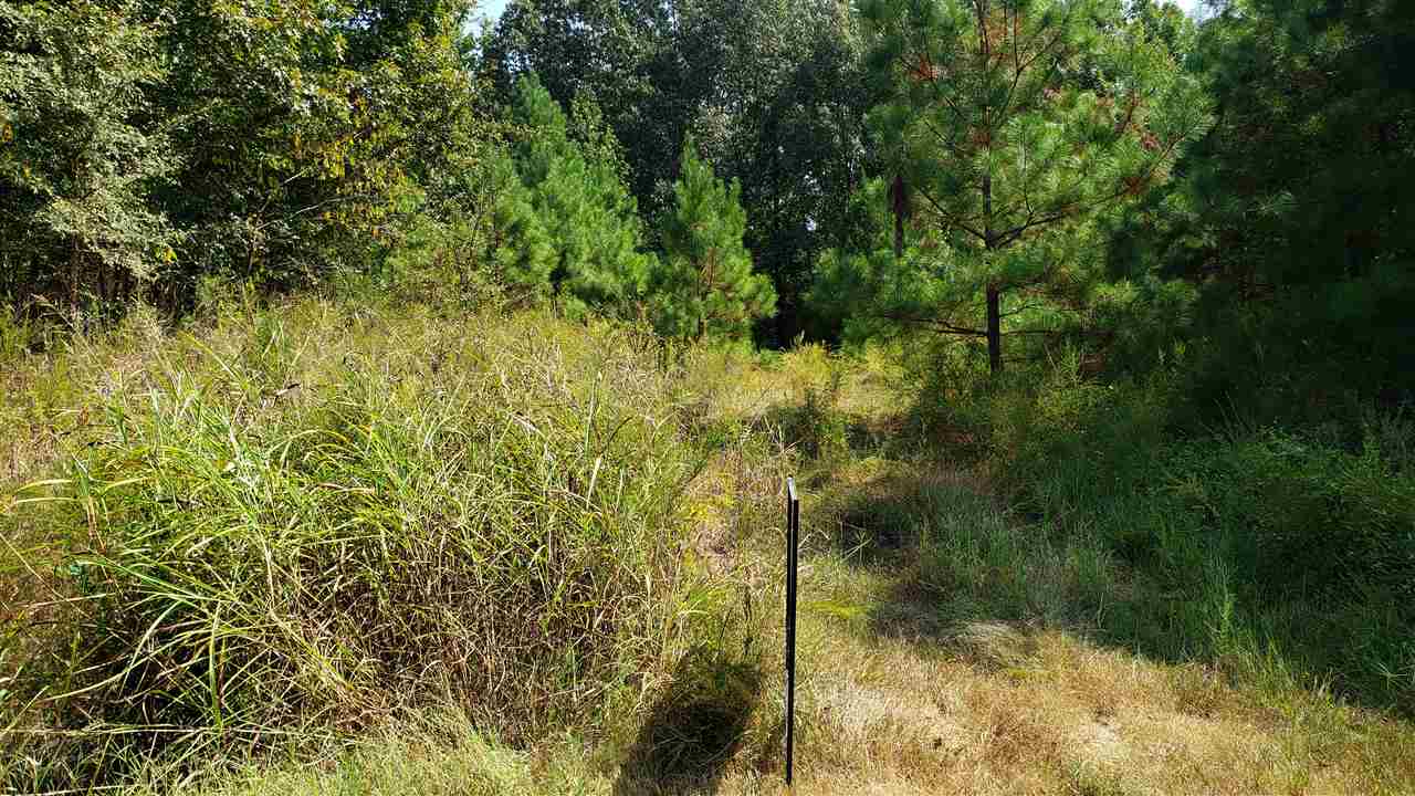 1 Osborntown Road Arlington, TN 38002 - Photo 2 of 2 Gallery Image 2
