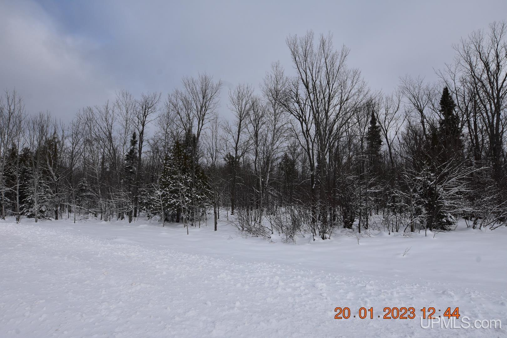 Tbd South Wasas Road Mass City, MI 49948 - Photo 4 of 25