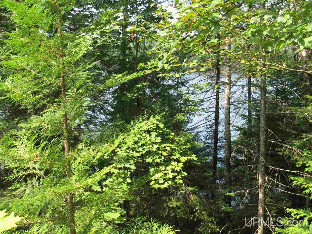 Tbd Berry Road Michigamme, MI 49861 - Photo 13 of 17