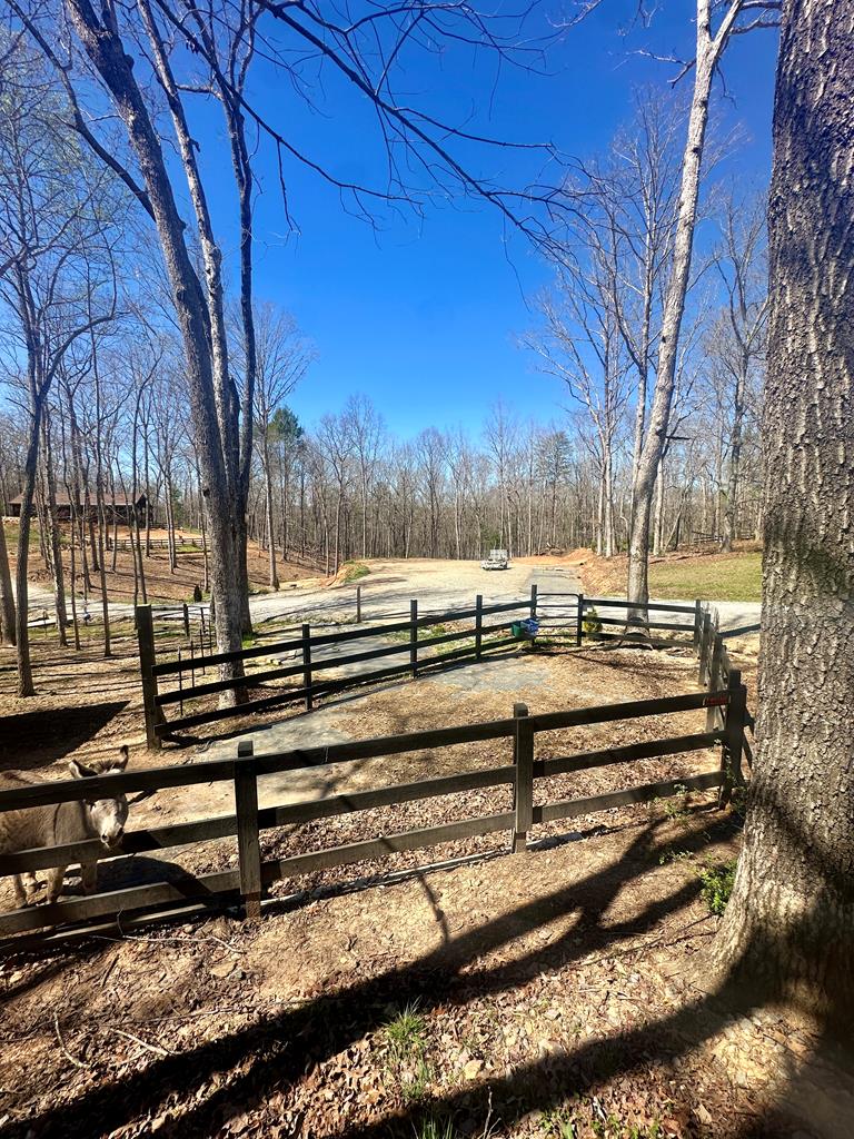554 Tipton Springs Road Morganton, GA 30560 - Photo 68 of 74