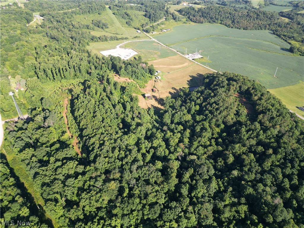 Expansive wooded terrain with substantial tree coverage