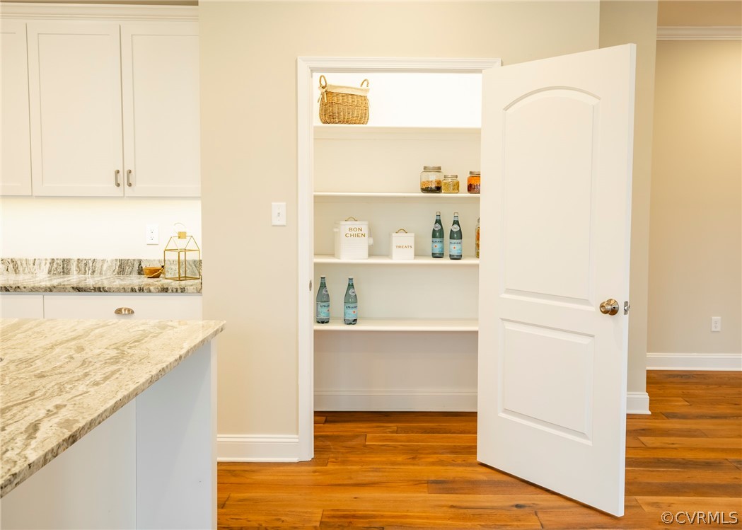 4370 Pierce Road Powhatan, VA 23139 - Photo 10 of 49 LARGE WALK IN PANTRY AREA